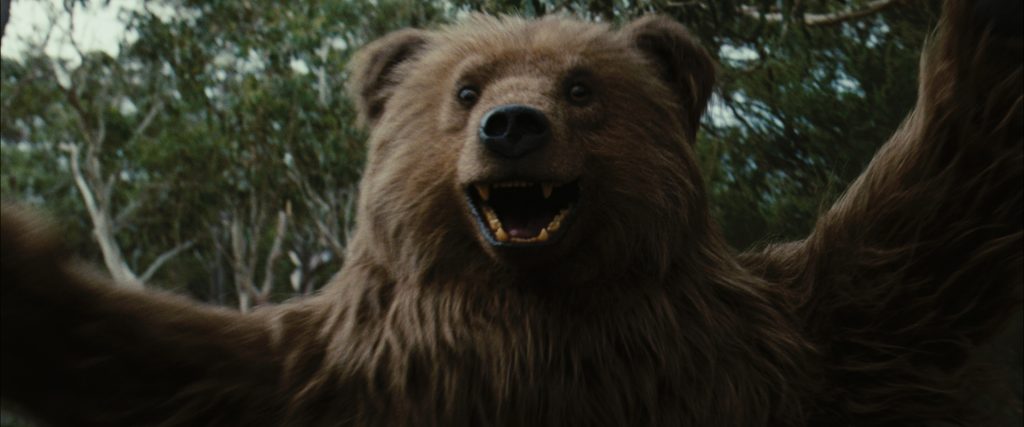 BEAR