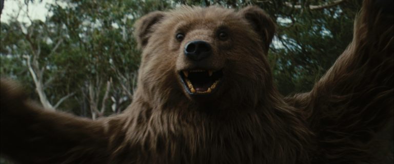 BEAR